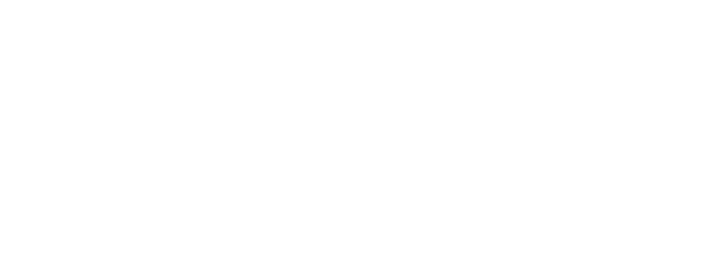 Vision X
